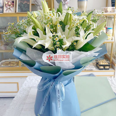 贺州8支白色多头百合洋甘菊，互倾的思念