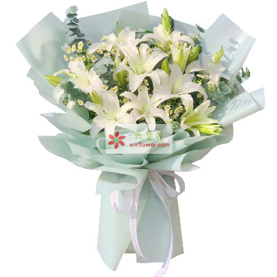 贺州6支白色多头百合，温馨的祝福