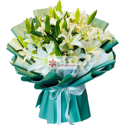 贺州8支白色多头百合洋甘菊，如潮的思念